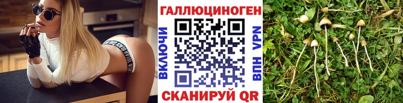 Галлюциногенные грибы мухоморы omg как зайти Ермолино